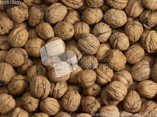 Image of Walnuts