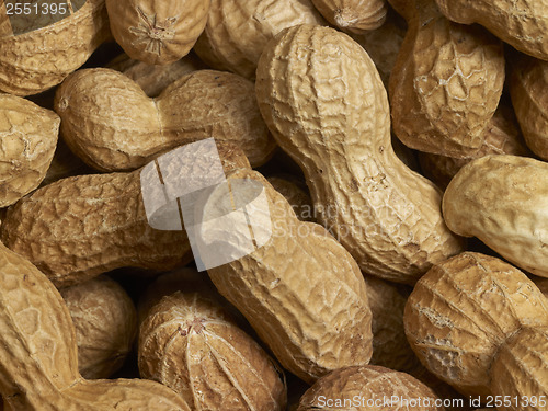 Image of Peanuts