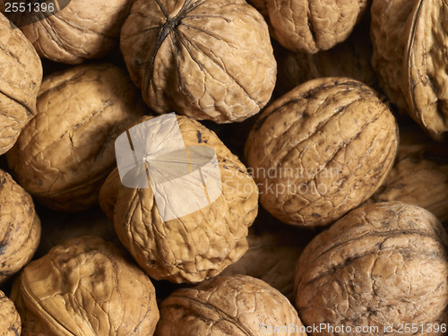 Image of Walnuts
