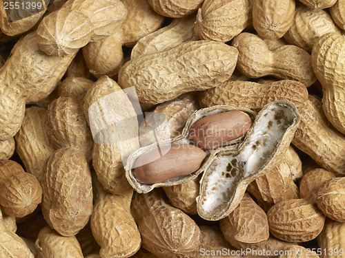 Image of Peanuts