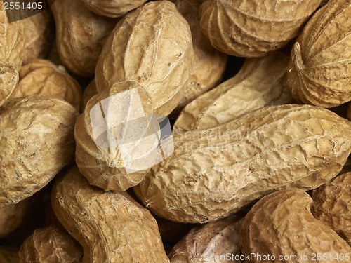 Image of Peanuts