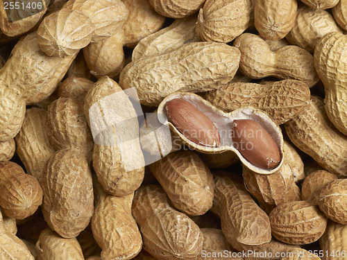 Image of Peanuts