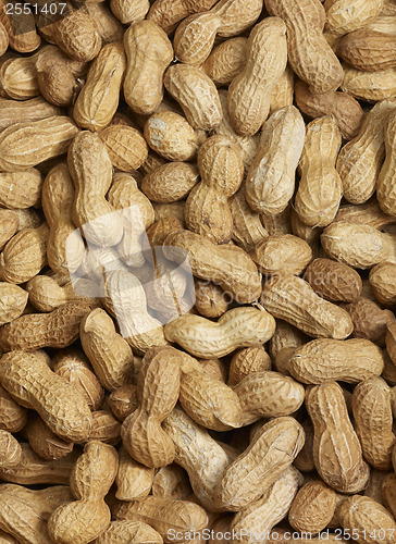 Image of Peanut background