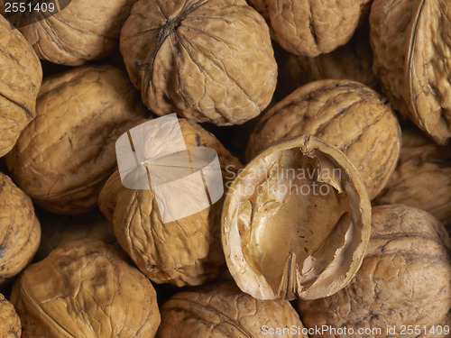 Image of Walnuts and shell