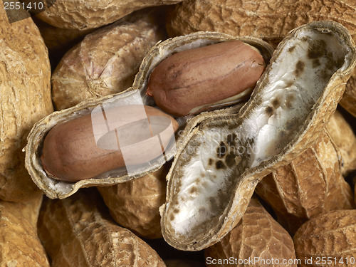 Image of Peanuts