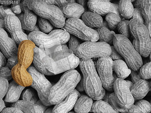 Image of Peanuts