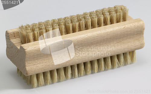 Image of nailbrush