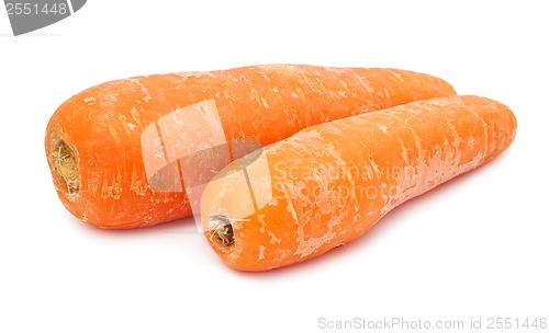 Image of Carrot