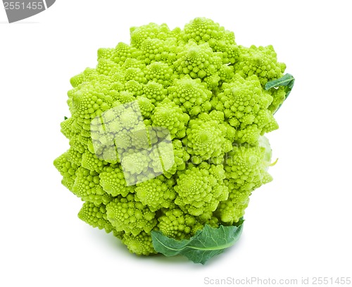 Image of Romanesco broccoli