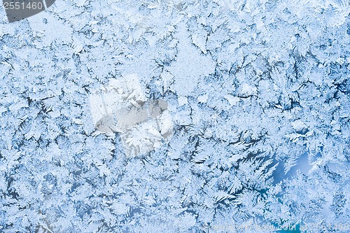 Image of Frost pattern