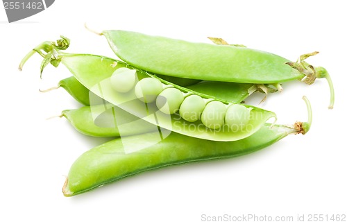 Image of Pea