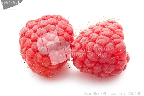 Image of Fresh raspberries