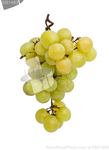 Image of Grapes