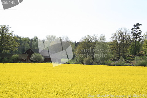 Image of Landscape in Sweden