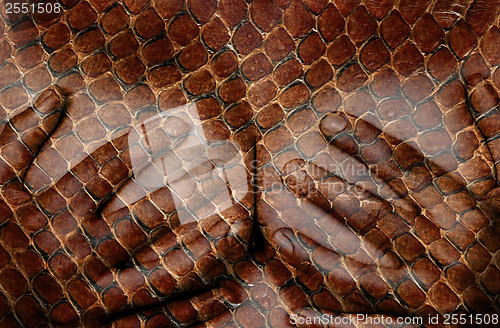 Image of Hands covering breasts