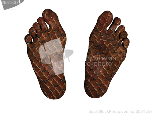 Image of Human feet with print