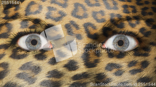 Image of Women eye, close-up, leopard