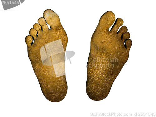 Image of Human feet with print