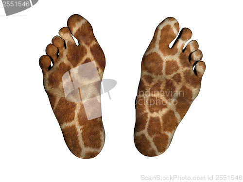 Image of Human feet with print