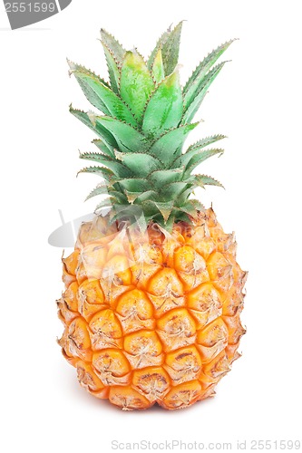 Image of Pineapple