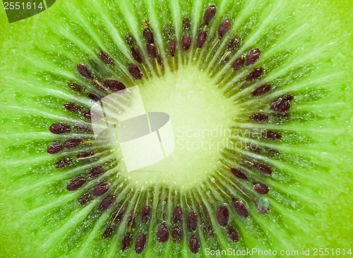 Image of Kiwi