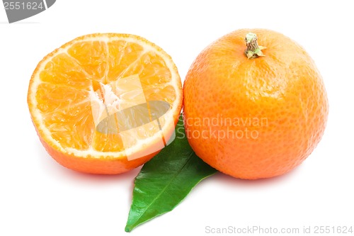 Image of Tangerines