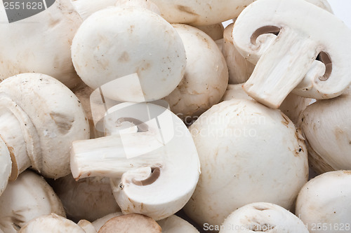 Image of Champignon mushrooms