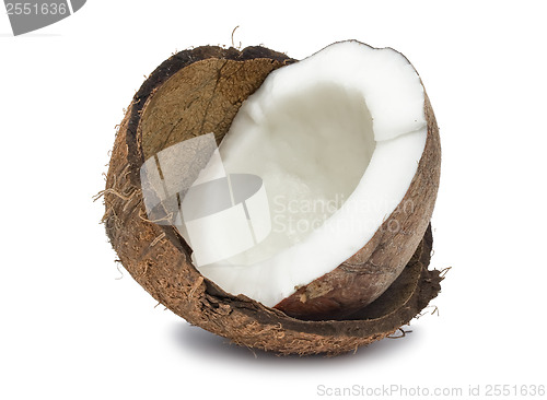 Image of Coconut