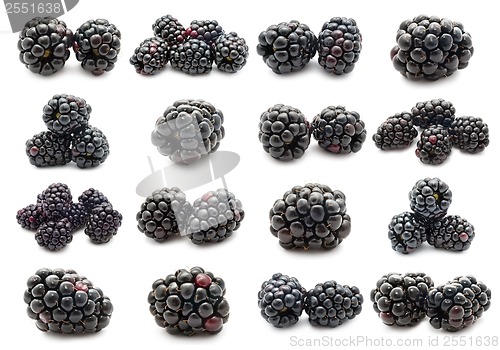 Image of Blackberry