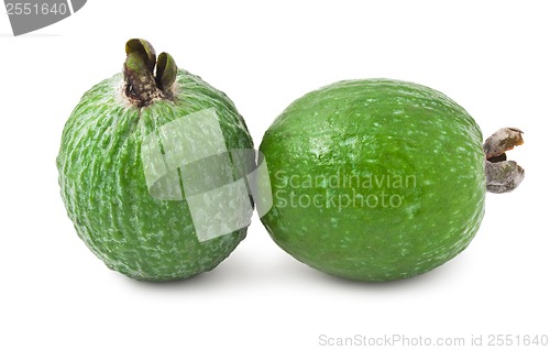 Image of Feijoa fruit