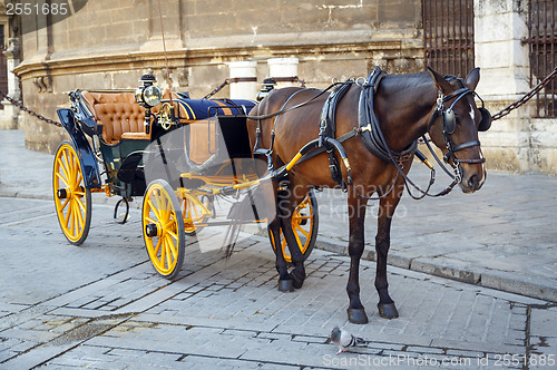 Image of Black  horse and traditional tourist carriage in Sevilla