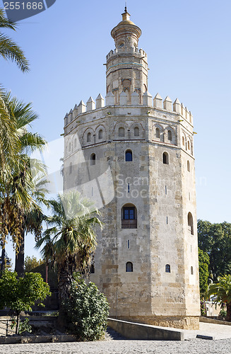 Image of Magnificent Tower of gold in Seville