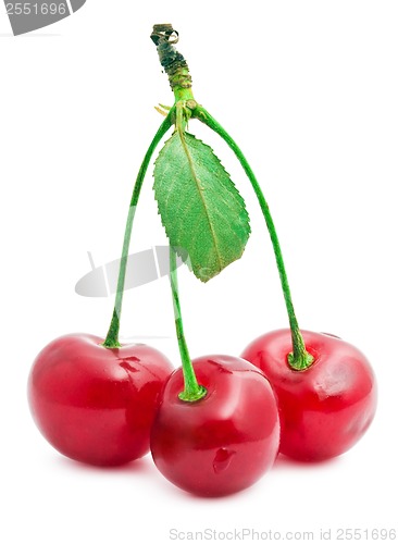 Image of Red cherry