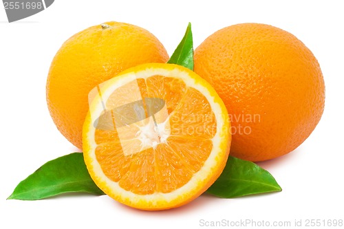Image of Orange