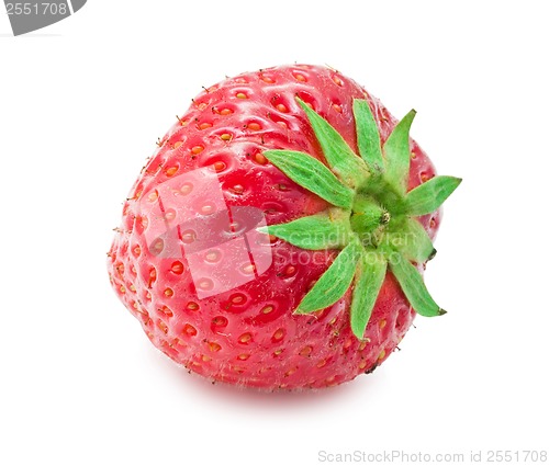 Image of Strawberry