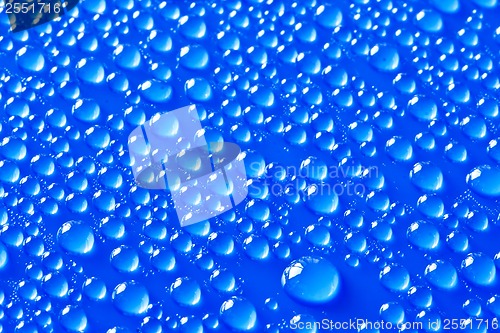 Image of Water drops