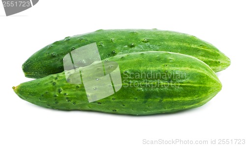 Image of Fresh cucumber