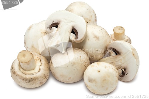 Image of Champignon mushrooms