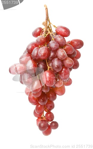Image of Grapes