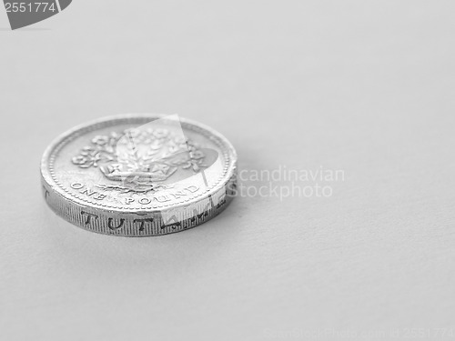 Image of British pound coin