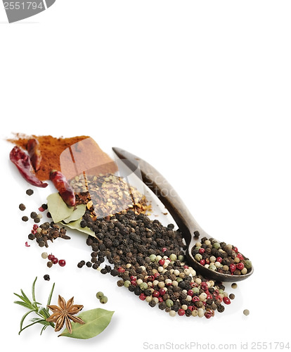 Image of Spices And Herbs