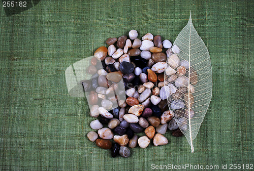 Image of Stones and leaf