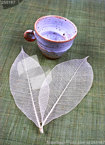 Image of Pottery cup and leaves