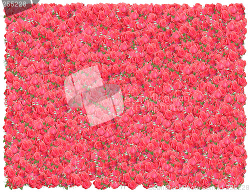 Image of Pink Roses background. From The Floral background series