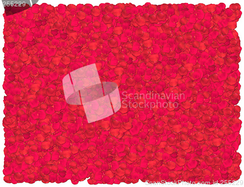 Image of Red Roses Petals background. From The Floral background series