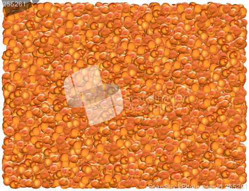 Image of Apricots background. From the Food background series