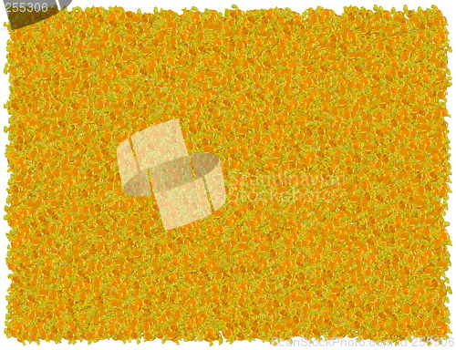 Image of Butter scotch background. From the Food background series