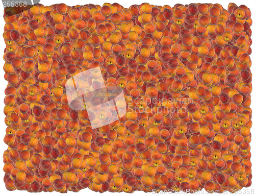 Image of Peaches background. From the Food background series