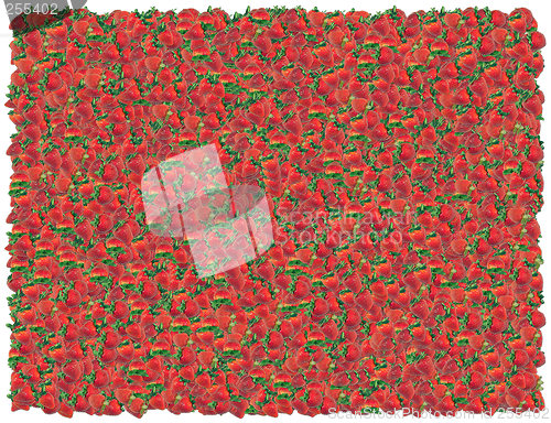 Image of Strawberries background. From the Food background series