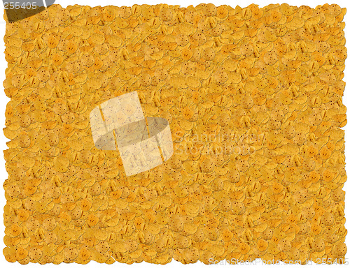 Image of Tortilla chips background. From Food background series